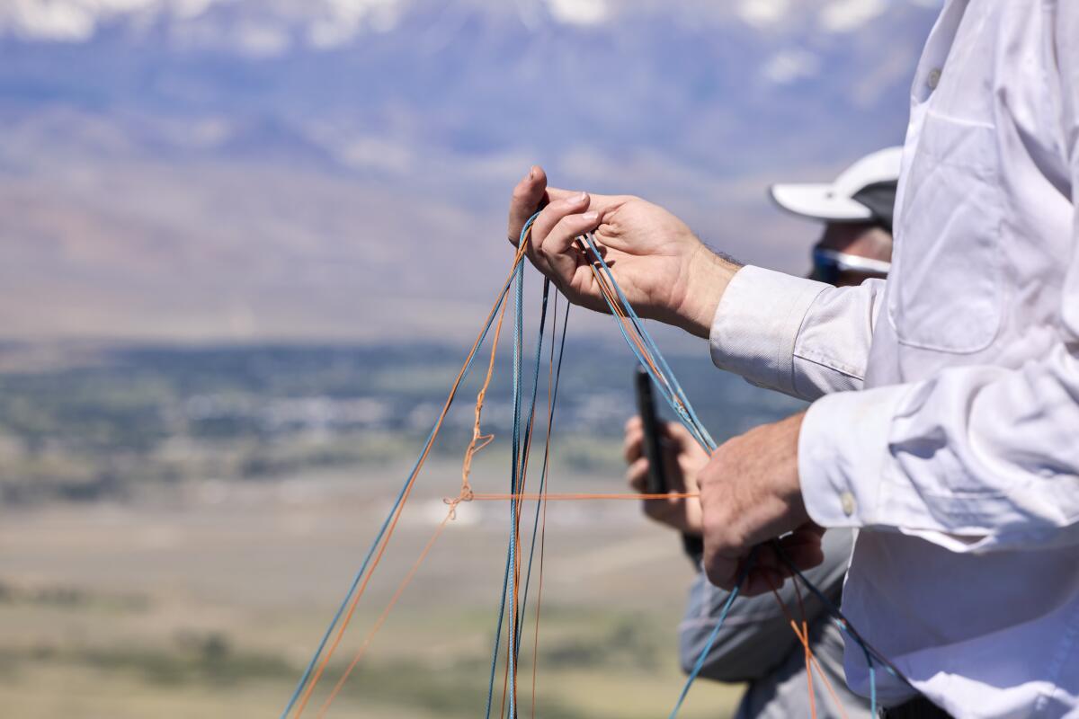 detail of someone holding lines