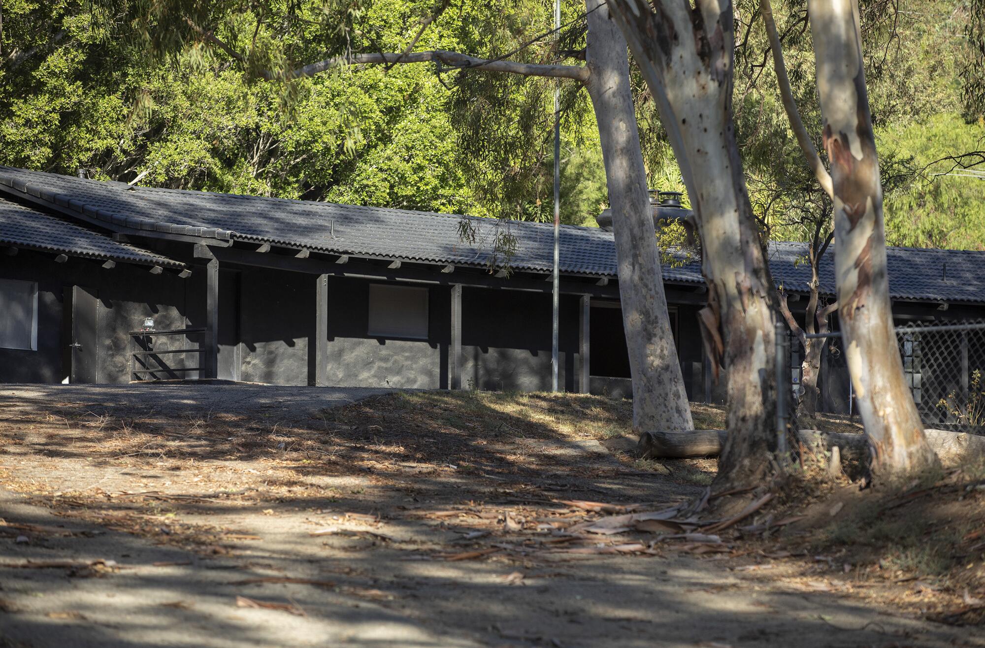 A building surrounded by trees