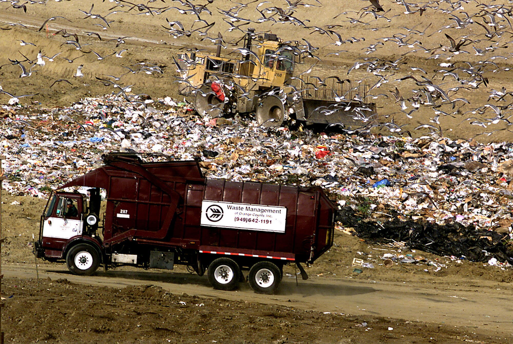 An aerial view of vehicles at a landfill, surrounded by seagulls.