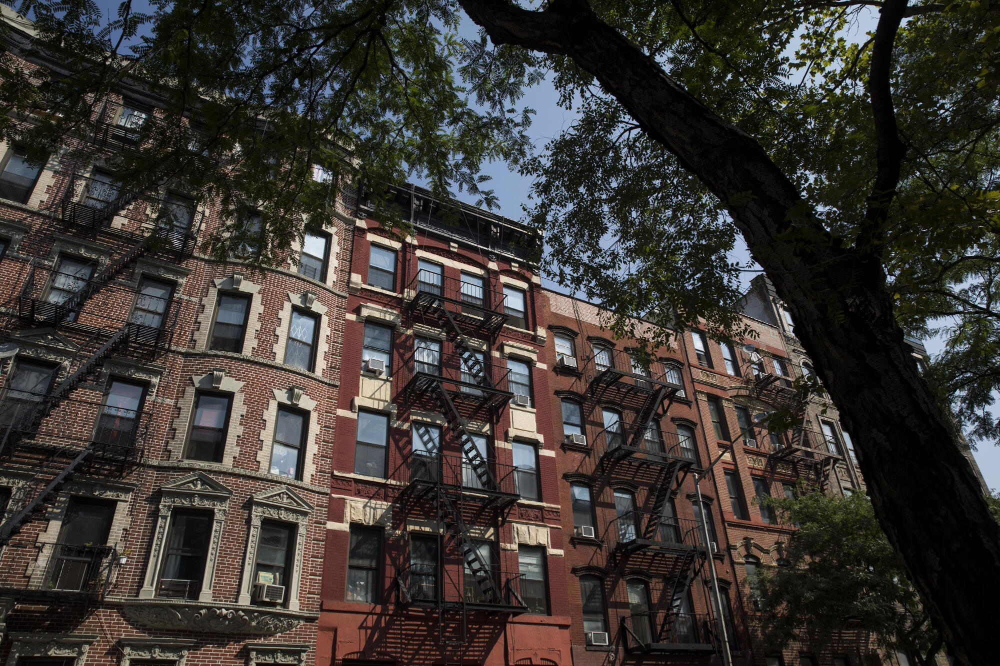 Brick buildings in New York's Lower East Side, framed by tree canopy