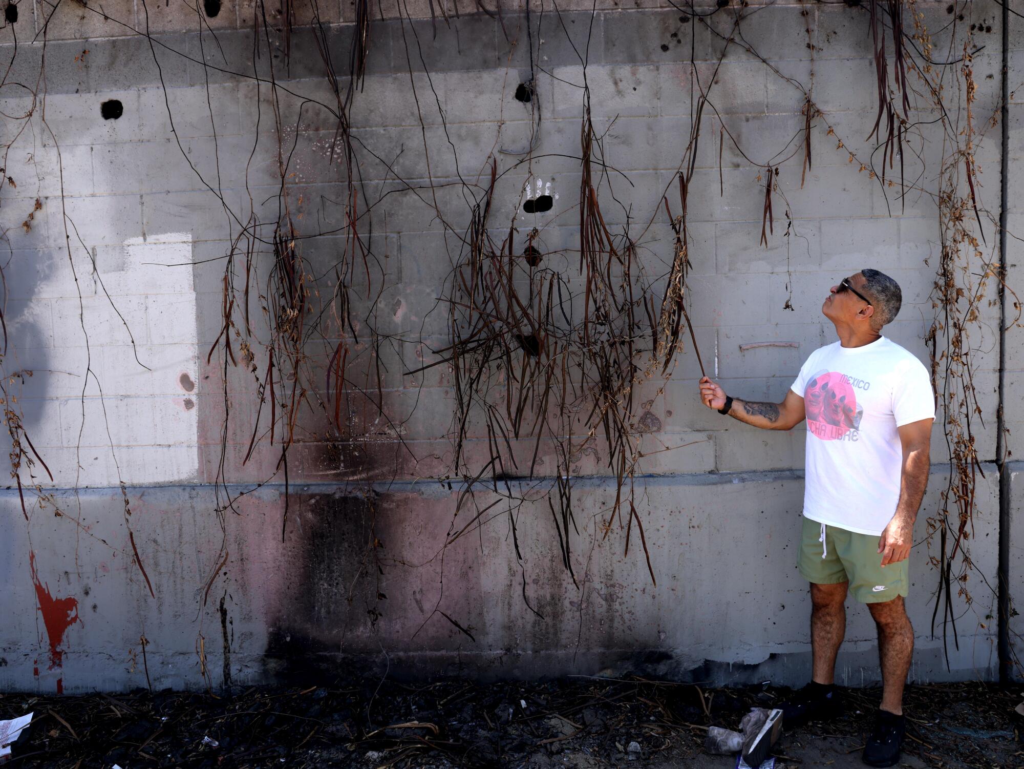 Elmer Roldan, who lives in South Los Angeles, shows a spot where a man set fire to a vine on a freeway soundwall.
