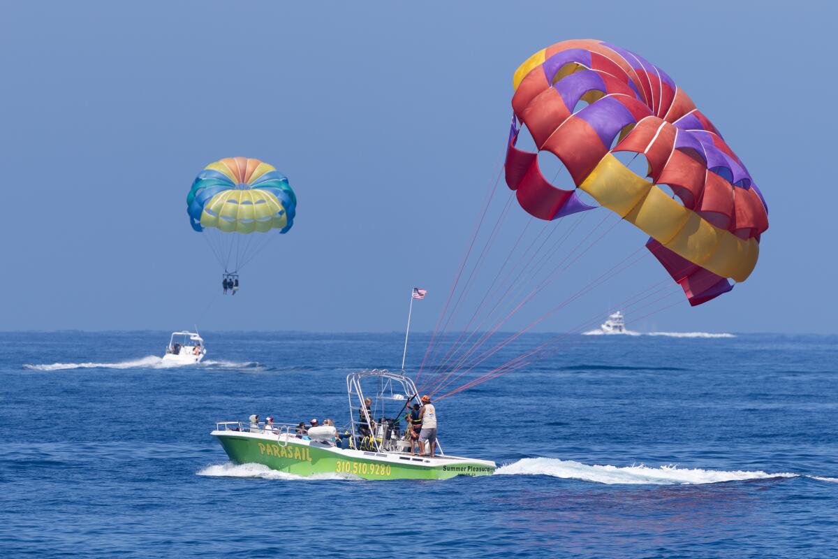 Parasailing boats take tourists for rides near Avalon.