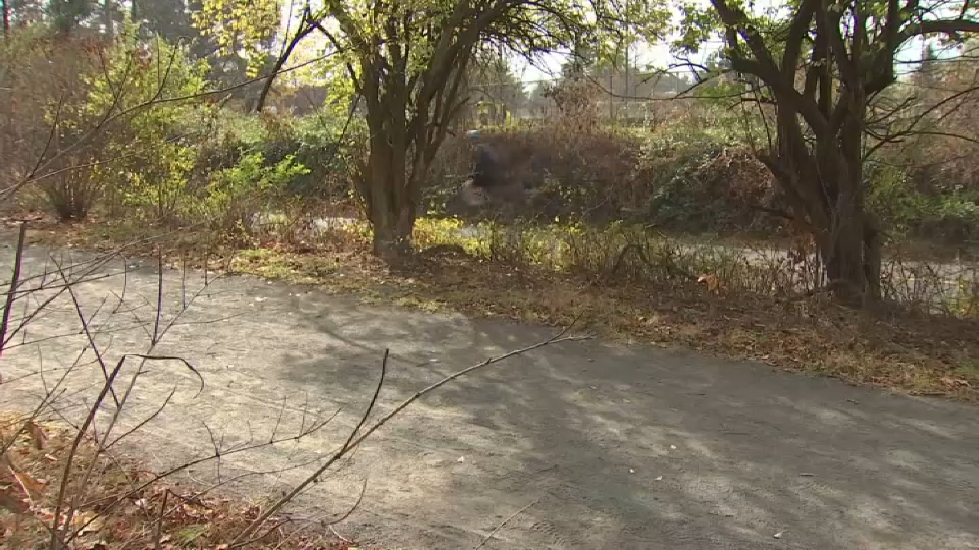 Convicted W&OD Trail rapist facing up to 18 years