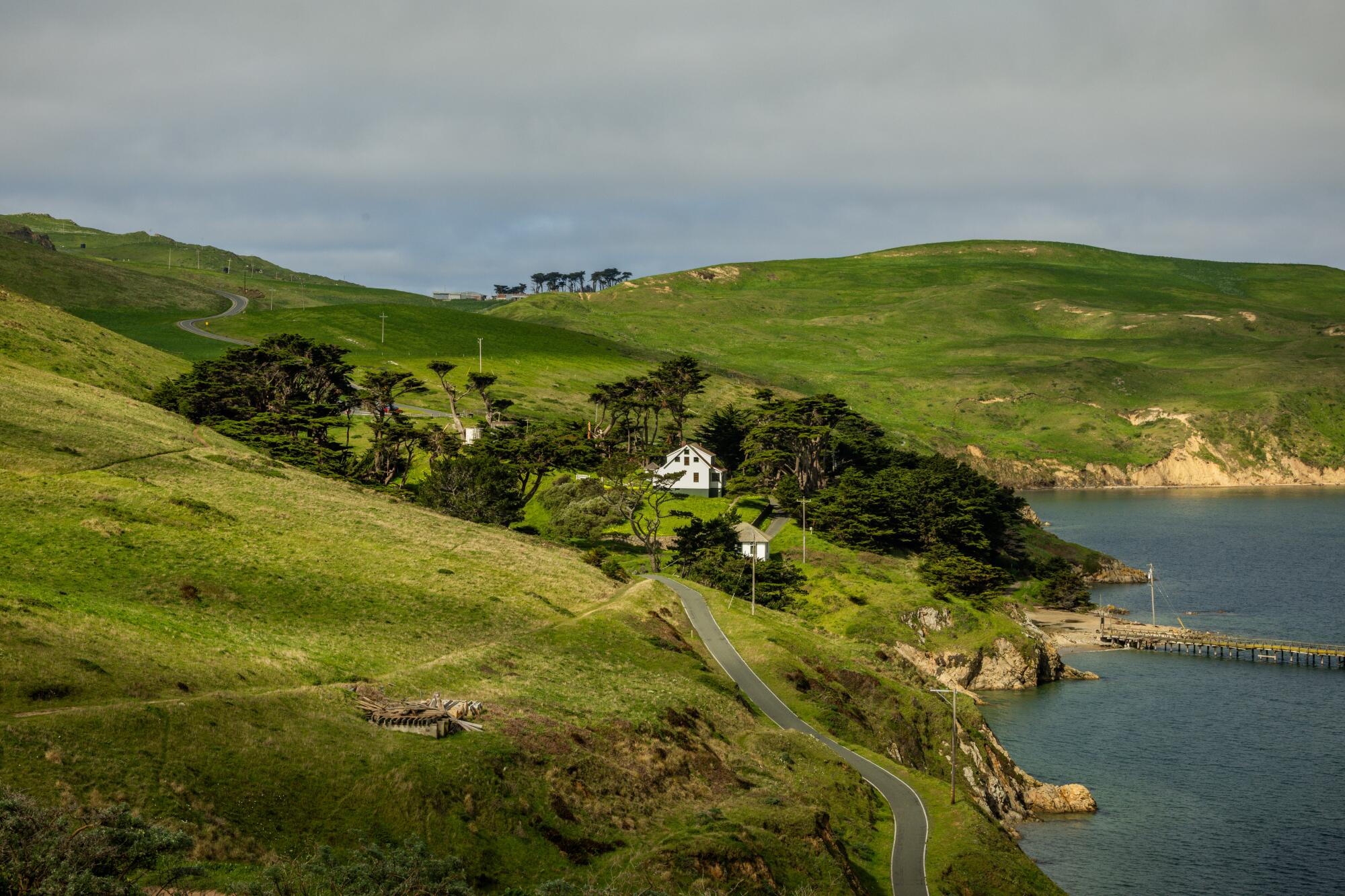 The view from Chimney Rock at Point Reyes National Seashore 