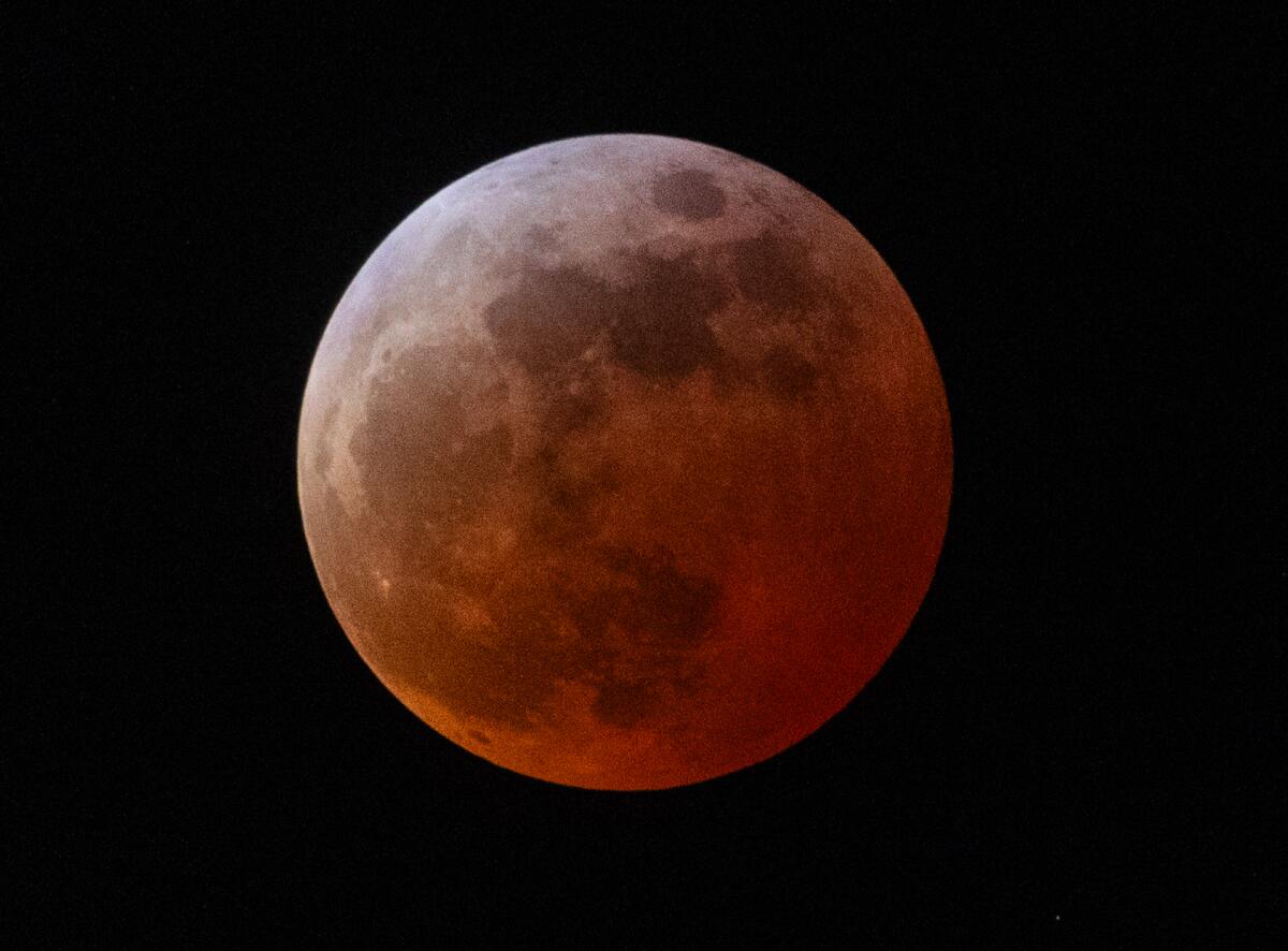 A view of the Blood Moon lunar eclipse as seen from Huntington Beach 
