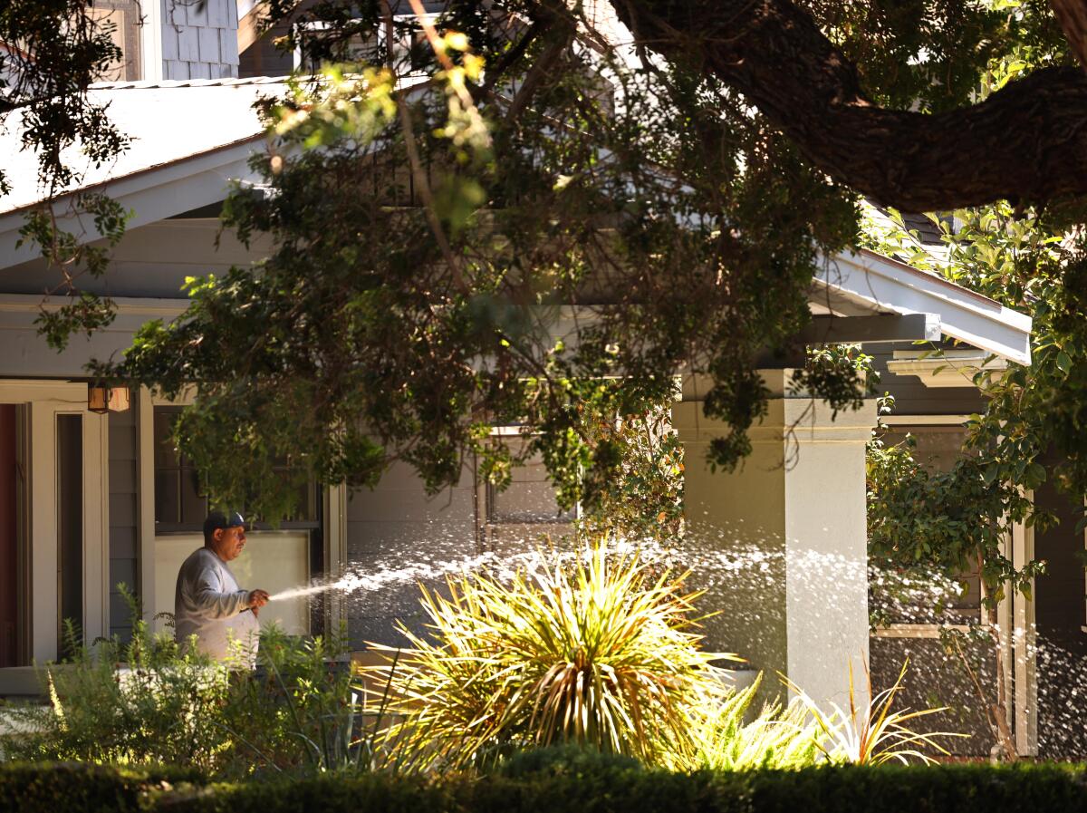 A gardener waters the lawn from the porch of a Craftsman-style home in the Sunset Square neighborhood in Hollywood.