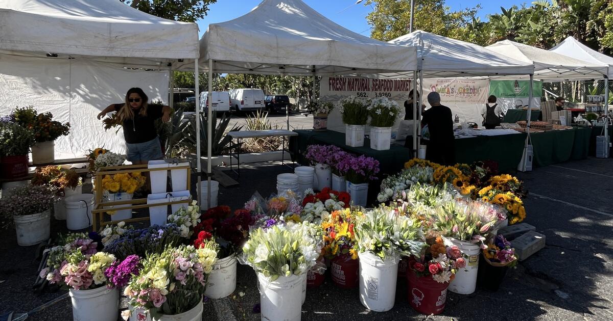 Turf drama sends celeb favorite Malibu Farmers Market packing to City Hall parking lot