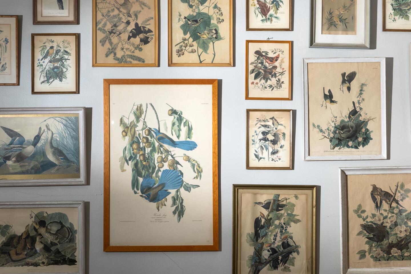 SILVER LAKE, CA - JULY 17, 2026: Wendi Weger's Versailles-inspired apartment in Silver Lake, CA on Friday, July 17, 2026. Audubon and Japanese prints on the living room wall. (Myung J. Chun / Los Angeles Times)