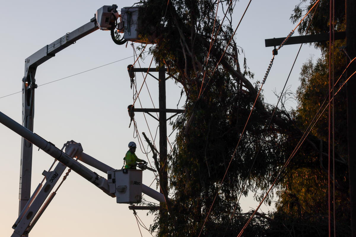 A worker uses a chain saw to remove tree branches off of a power line.
