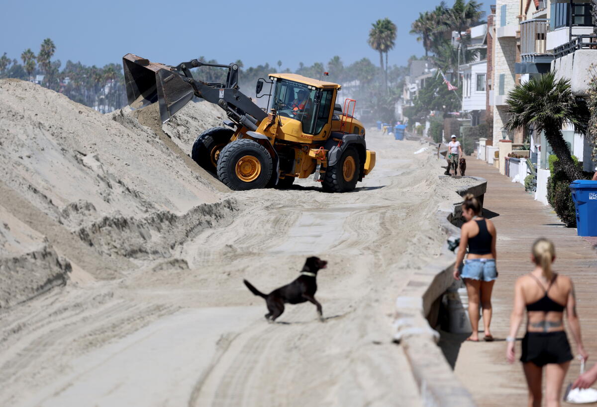 A dog plays in the sand in Long Beach as workers construct berms to protect homes on the Long Beach peninsula.