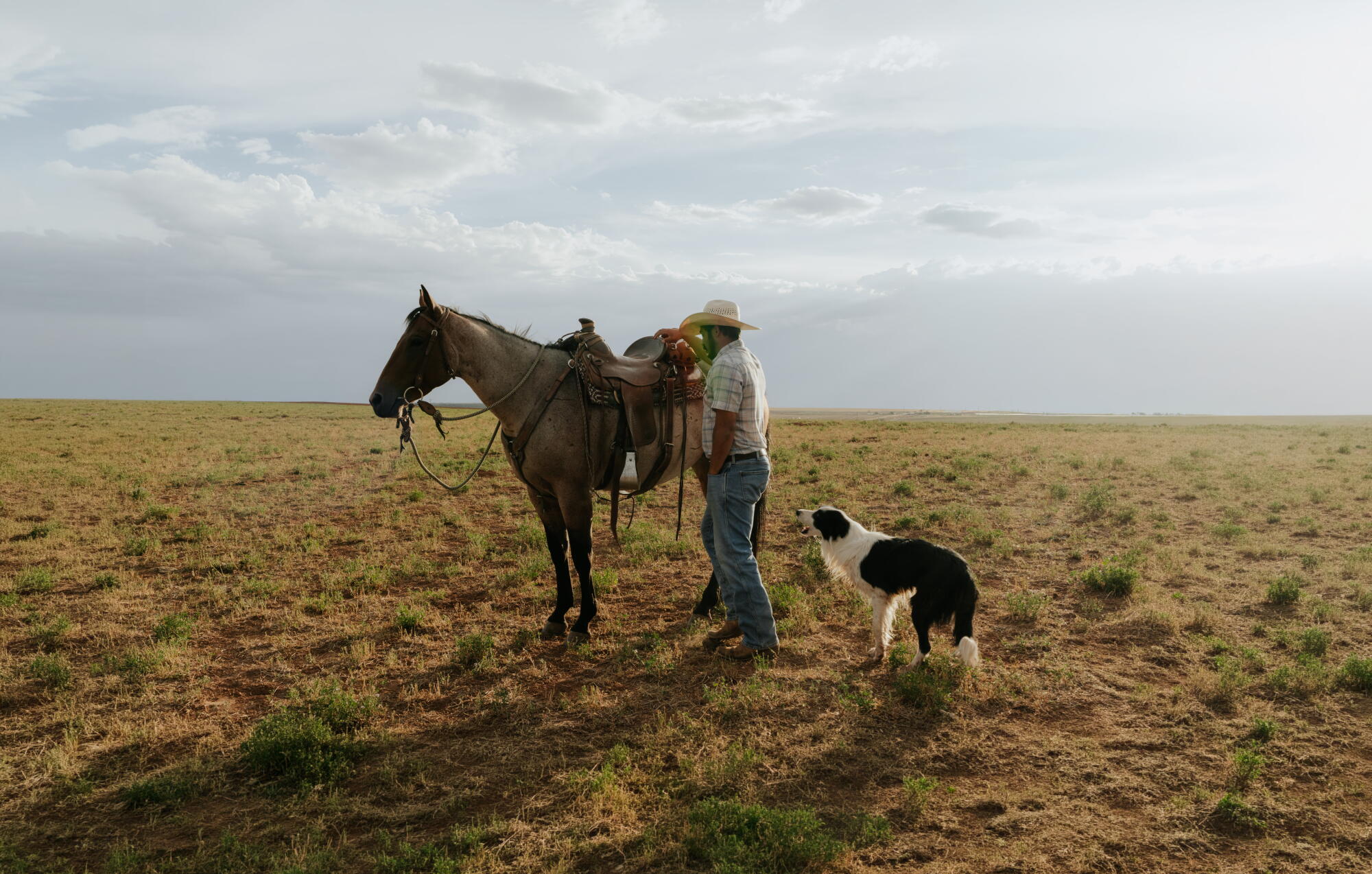 A rancher tends to a horse as his dog looks on.