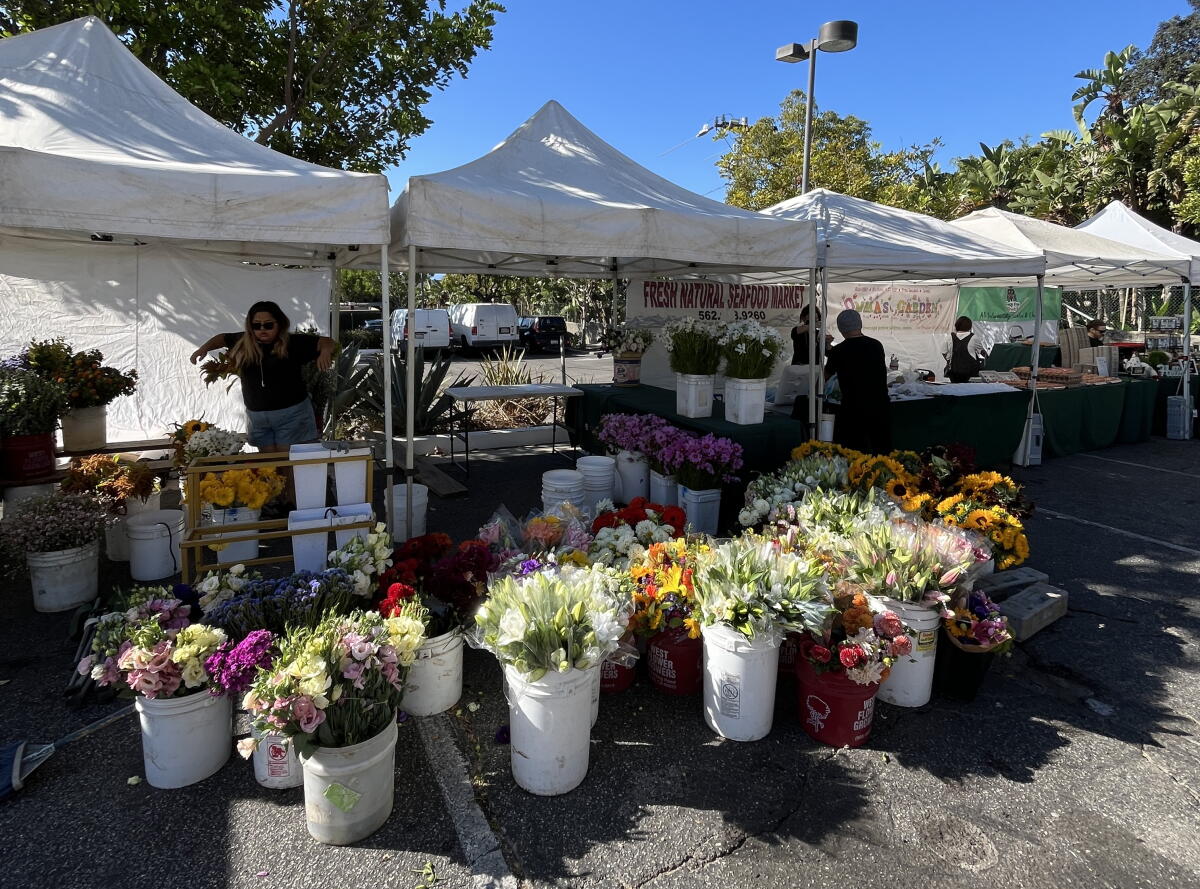 Malibu Farmers Market open every Sunday from 10 am to 3 pm