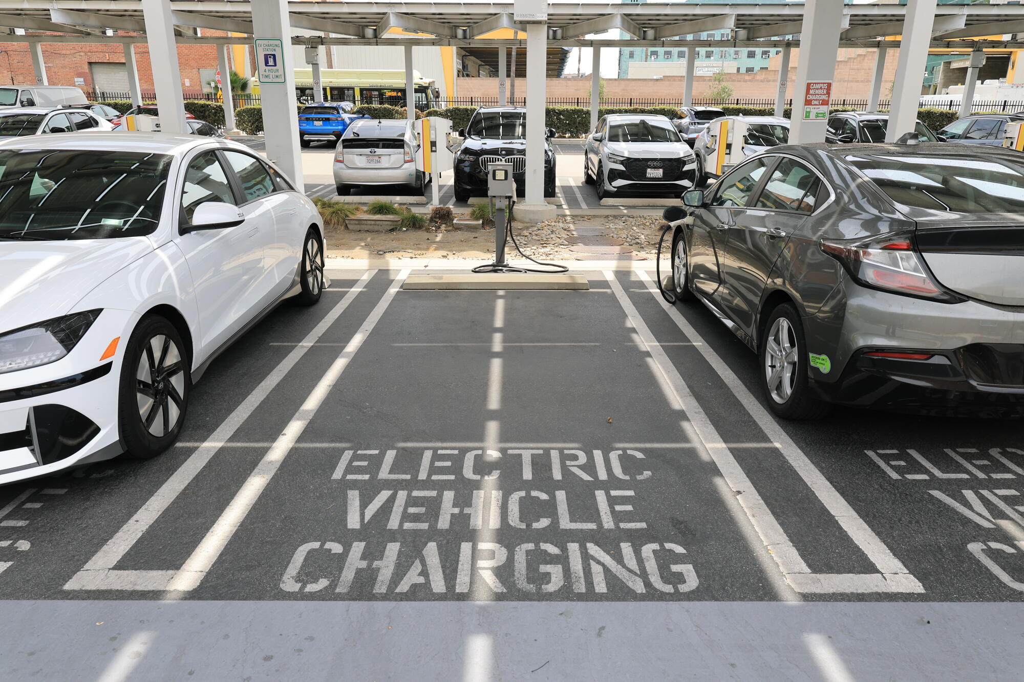 Two electric cars being charged, flanking an empty parking spot designated for electric vehicle charging
